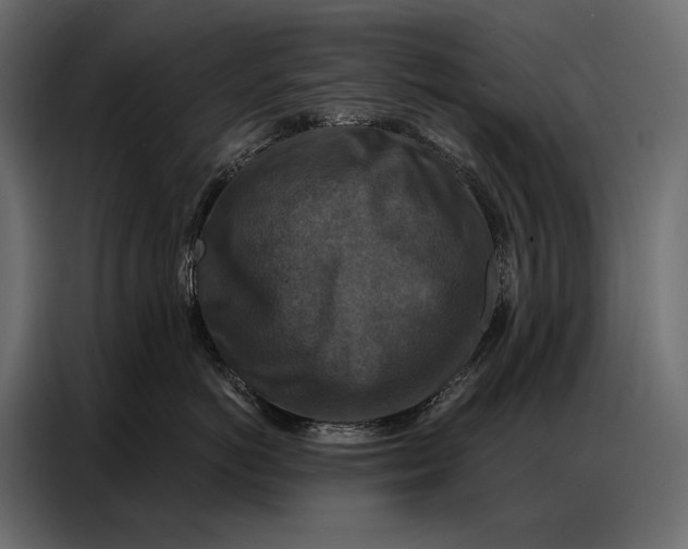 X0000086880766200705071201