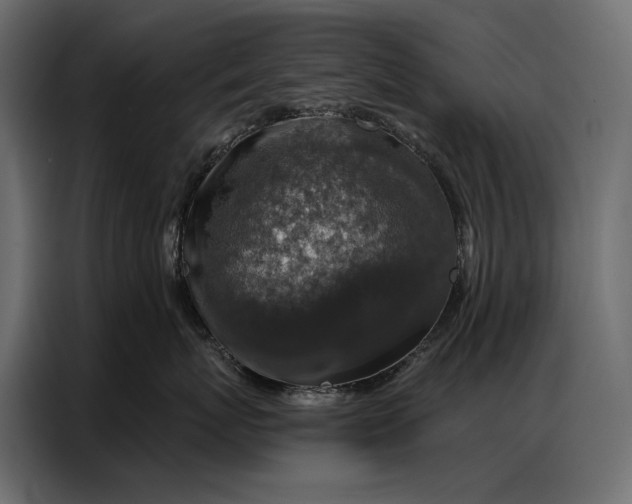 X0000086880767200705071201