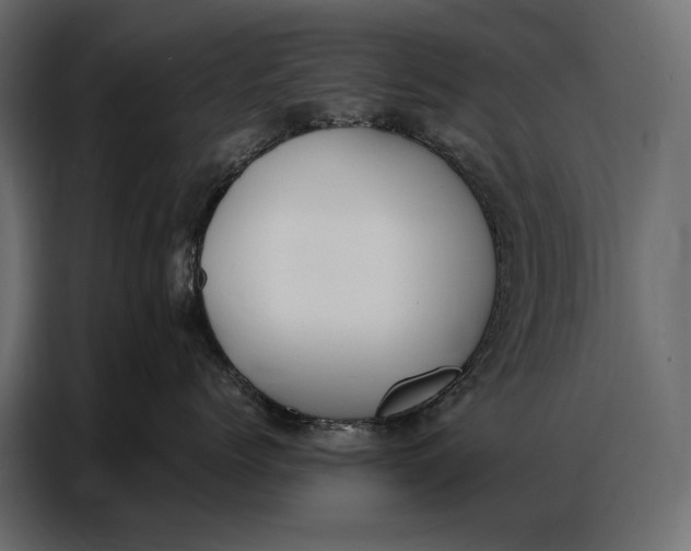 X0000086880768200705071201