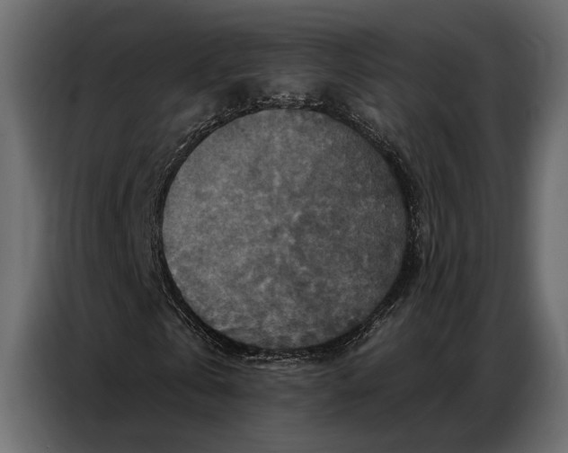 X0000086880769200705071201