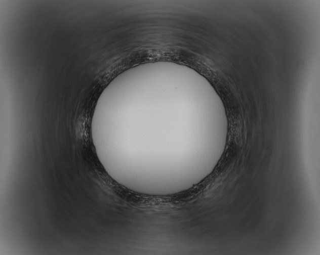 X0000086880770200705071201