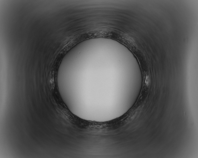 X0000086880771200705071201