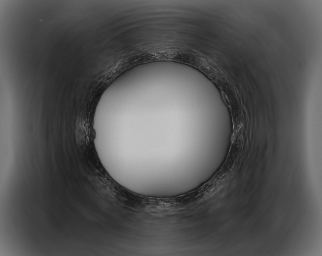 X0000086880772200705071201