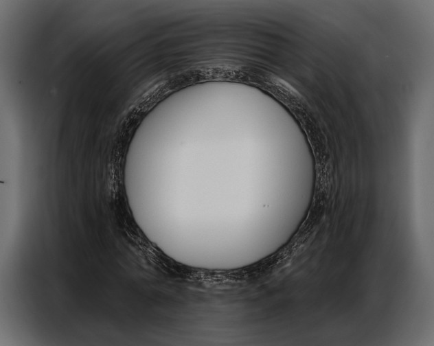 X0000086880774200705071201