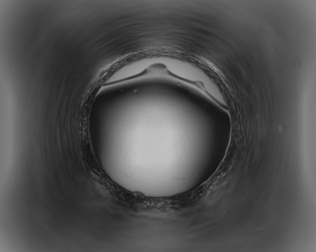 X0000086880775200705071201