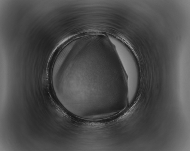 X0000086880779200705071201