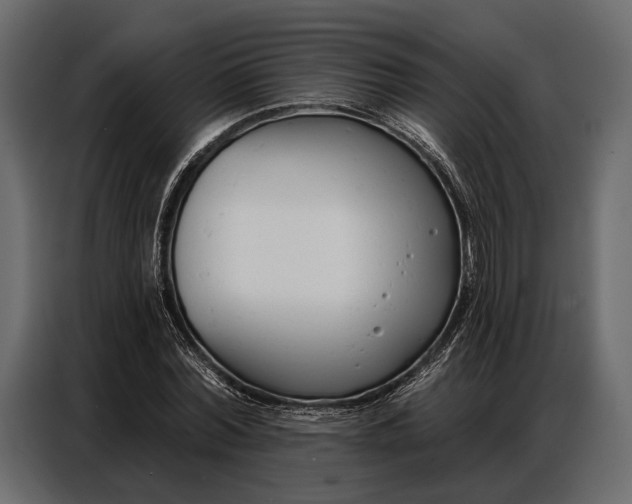 X0000086880780200705071201