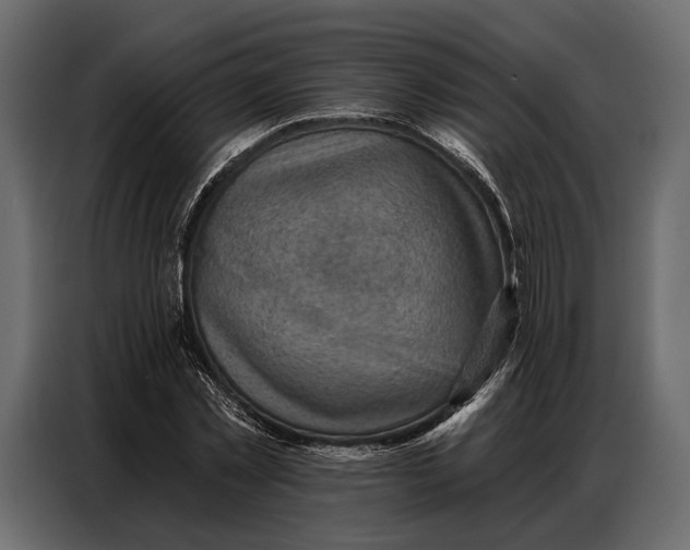 X0000086880781200705071201