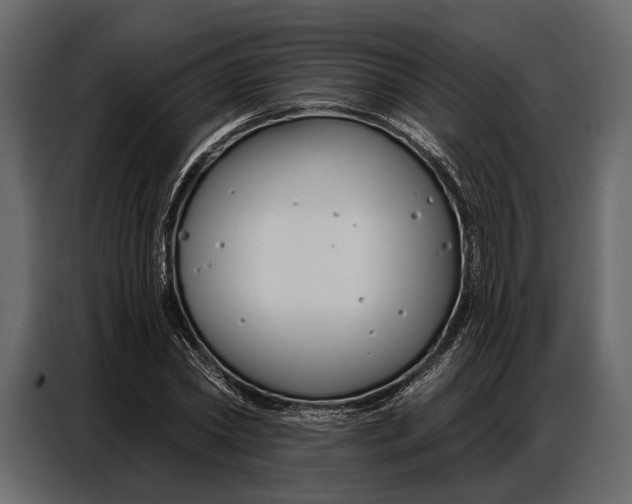 X0000086880782200705071201