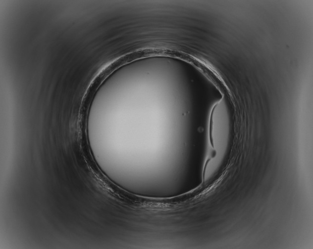 X0000086880783200705071201