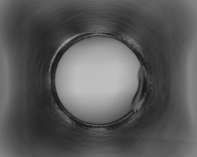 X0000086880784200705071201