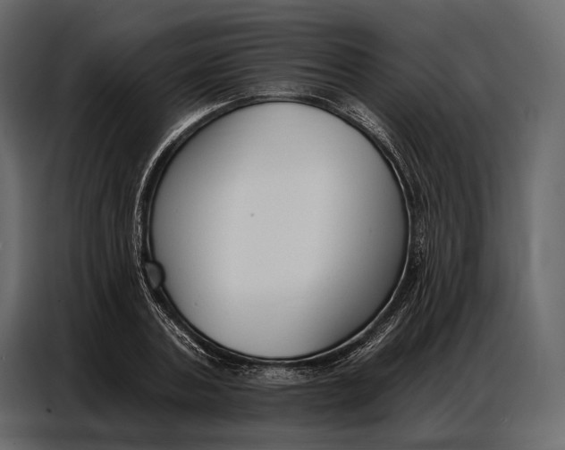 X0000086880787200705071201