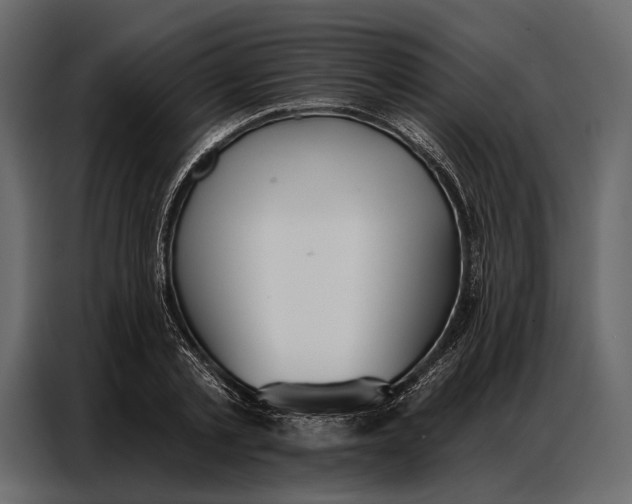 X0000086880789200705071201