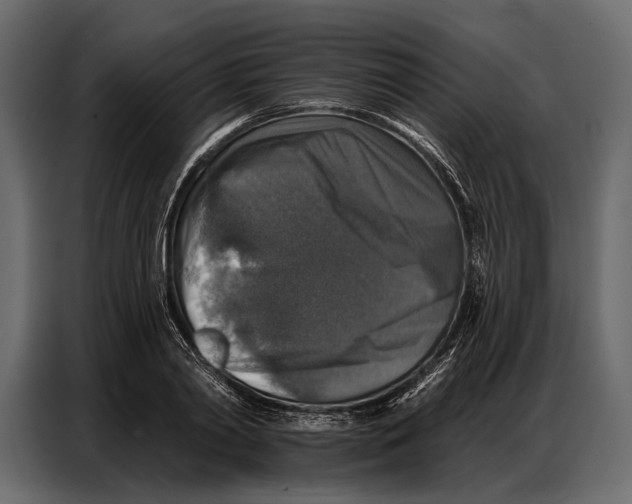 X0000086880790200705071200