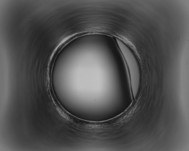 X0000086880792200705071200