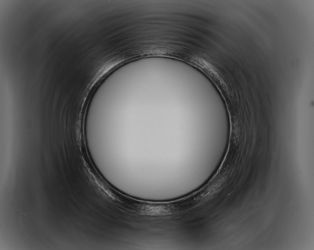 X0000086880794200705071200