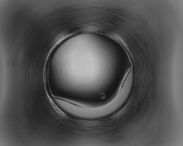 X0000086880795200705071200