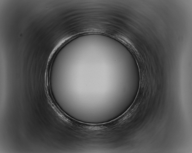 X0000086880796200705071200