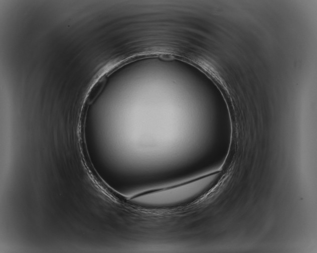 X0000086880797200705071200