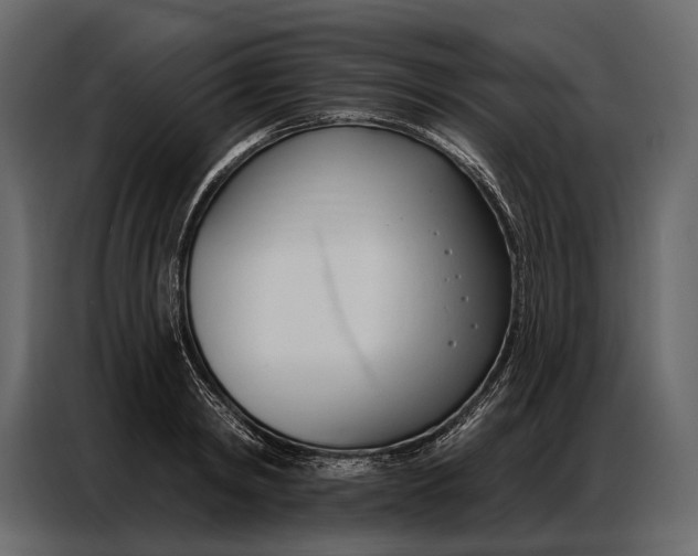 X0000086880798200705071200