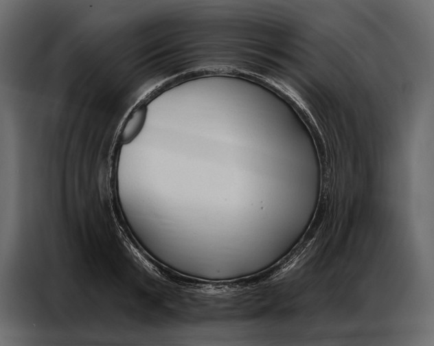 X0000086880799200705071200