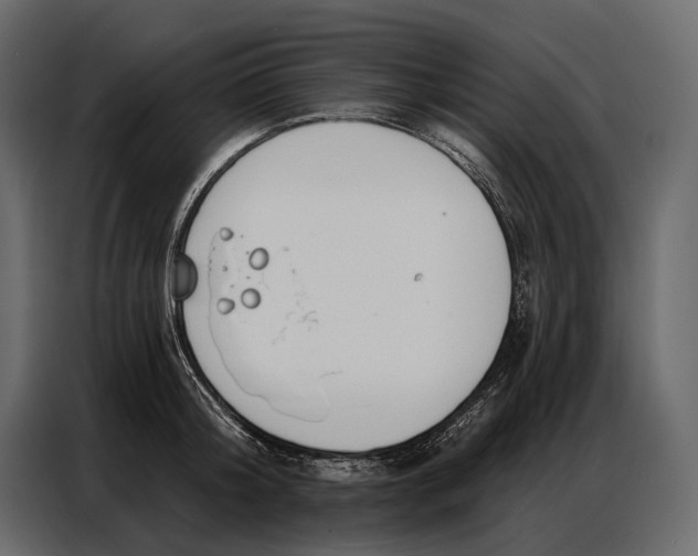 X0000086880804200705071200