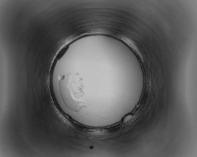 X0000086880805200705071200