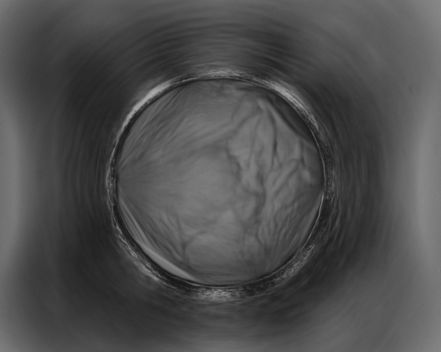 X0000086880806200705071200