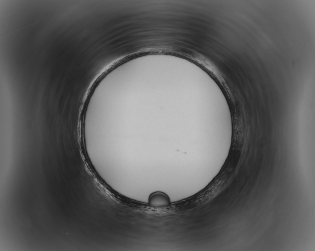 X0000086880807200705071200