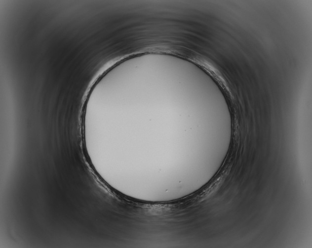 X0000086880808200705071200