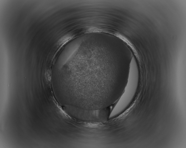 X0000086880809200705071200