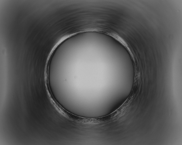 X0000086880811200705071200