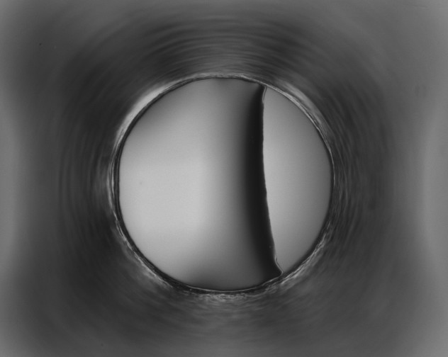 X0000086880812200705071200