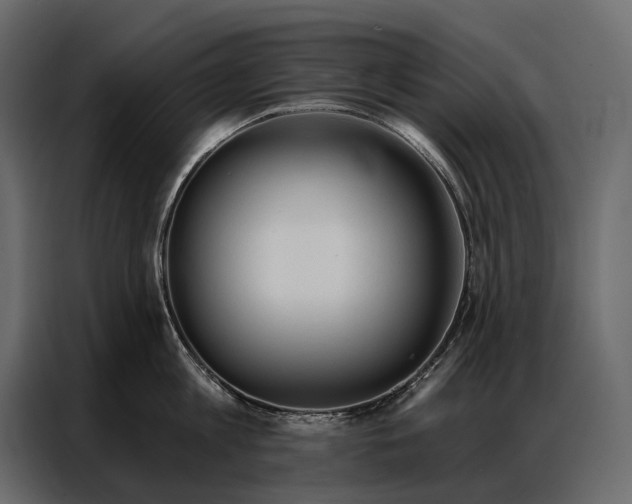 X0000086880813200705071200