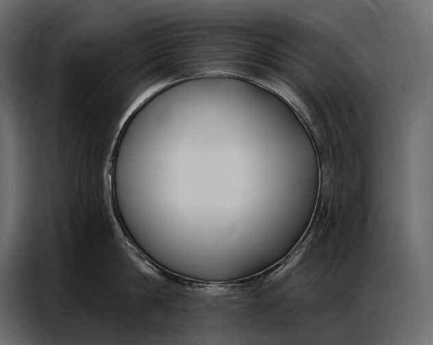 X0000086880814200705071200