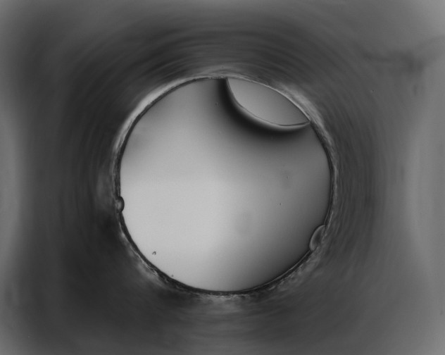 X0000086880816200705071200