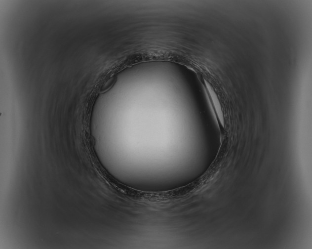 X0000086880817200705071200