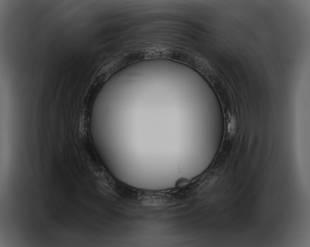 X0000086880819200705071200