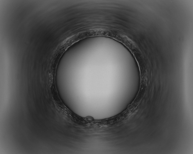 X0000086880821200705071200