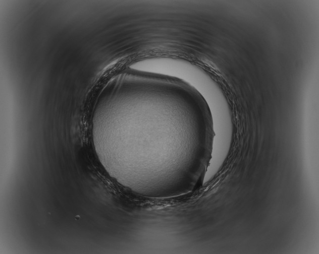 X0000086880822200705071200