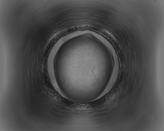 X0000086880823200705071200