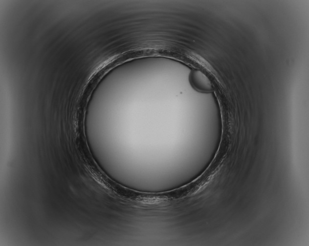 X0000086880826200705071200