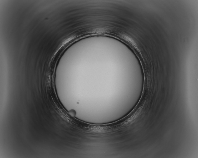 X0000086880827200705071200