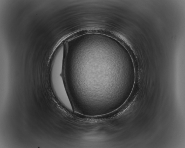 X0000086880829200705071200