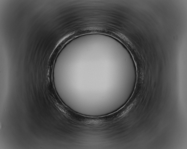 X0000086880830200705071200