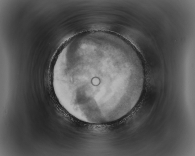 X0000086880832200705071200