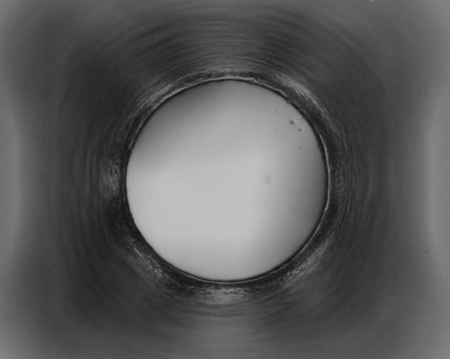 X0000086880833200705071200