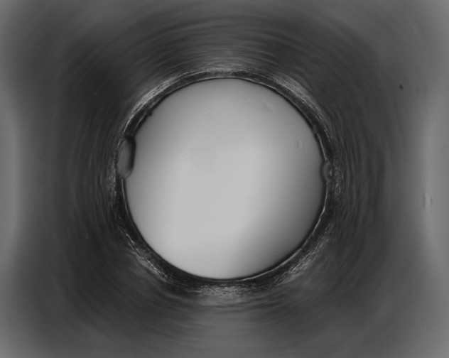 X0000086880834200705071200