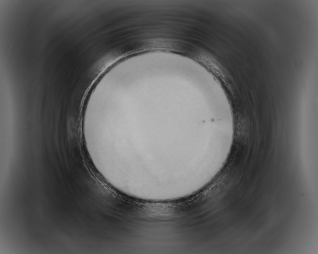 X0000086880836200705071200