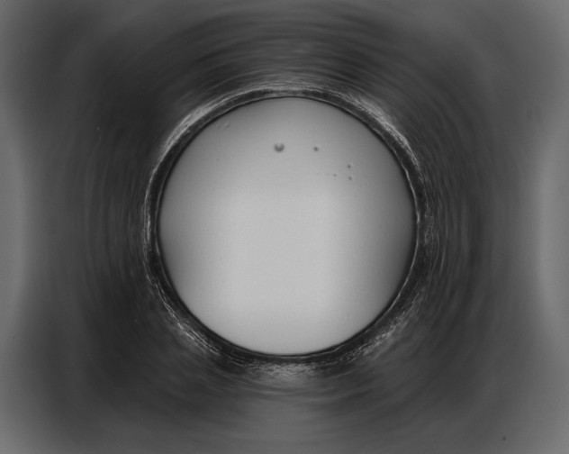 X0000086880837200705071200